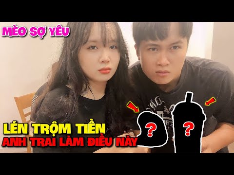 Mèo Sợ Yêu Lén Trộm Tiền Anh Trai Làm Điều Này Và Cái Kết?