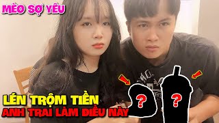 Mèo Sợ Yêu Lén Trộm Tiền Anh Trai Làm Điều Này Và Cái Kết?
