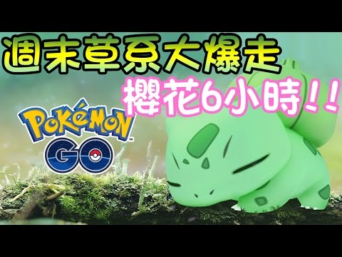 【Pokémon Go】又是櫻花六小時?!週末草系大爆走!! - YouTube