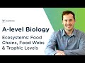 Understanding Food Chains and Food Webs