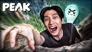 Can You Reach The PEAK?