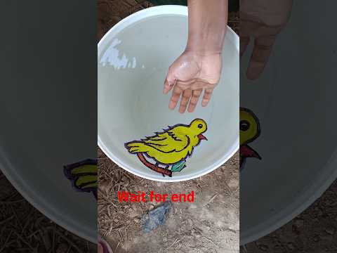 Wow ๐ฒ can you do it draw magic bird ๐ฆ๐๏ธ drawing on water ๐ฆ#shorts #drawing #viral