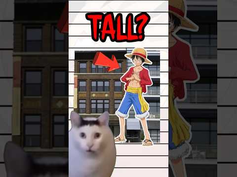 Is Luffy ACTUALLY This BIG?!