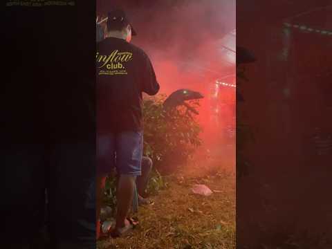 AYAH HAMPIR DI PATOK ULAR GEDE BANGET‼️#minivlog #minivlogshorts #anakdesa #hiburan #vlog