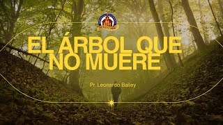 EL ÁRBOL QUE NO MUERE / Pastor Leonardo Bailey