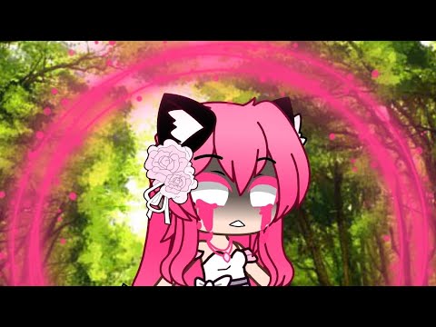 The 3 Jewels Wishes (Part 5)
