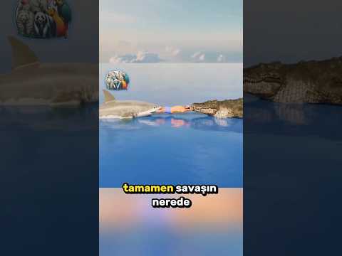 Köpekbalığı mı Yoksa Timsah mı Kazanır? 🦈⚔️🐊