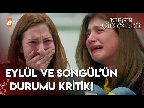 Eylül ve Songül için kritik saatler... | Kırgın Çiçekler