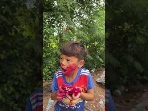 Outdoor food eating dragon fruit in forest #survival #campping #survivalskills #survivalcamp