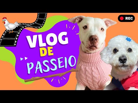 VLOG DE PASSEIO FAWKES E THORZINHO