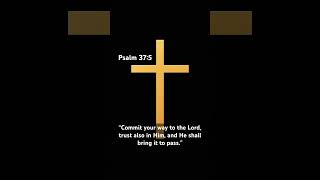 Daily Grace —When you trust God with the process, He handles the outcome. #jesus #bibleverse #bible