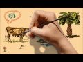 Evolution and Charles Darwin