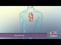 Types of Muscle and Tissue Functions