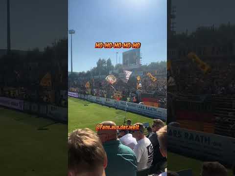 Ultras Dynamo mit krassen Support in Lübeck! #Ultras #SGD #Dynamo #Shorts #YT