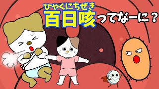 【アニメ 絵本読み聞かせ】百日咳ってなーに？