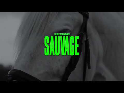 Sosa La M x Luciano - Sauvage | Remix de Mauvais