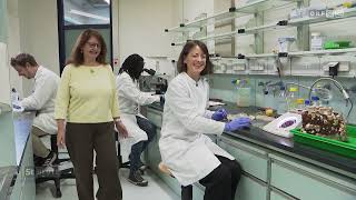 ORF Wissenswert: Mikrobiomforschung