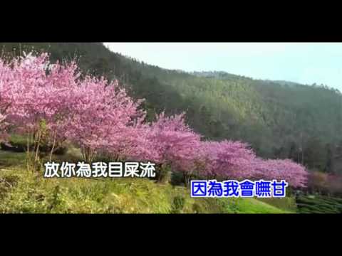 我的視訊-家後karaoke