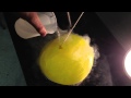 Exploring the Effects of Liquid Nitrogen on Balloon Volume