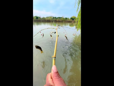 ⭕Experience immersive fishing#Incredible fishing way#fisherman#outdoor#This is a master