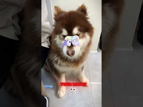 You Won't Believe Who Got Forgotten FIRST! ๐ฐ๏ธ๐ฑ
