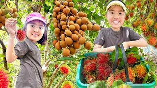 หนูยิ้มหนูแย้ม ขับมอเตอร์ไซค์ไปสวน! เก็บลำไย เงาะ มะม่วงสด ๆ กับปู่ย่า 🍇🥭🍊