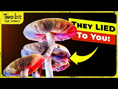 We Have to Talk about Psychedelics