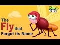 The Fly Who Forgot Its Name: A Fun Story Exploration