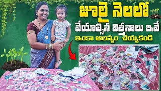 జూలై నెలలో తప్పనిసరిగా నాటుకోవాల్సిన విత్తనాలు ఇవే | ఇంకా ఆలస్యం చెయ్యకండి |Rainy season vegetables