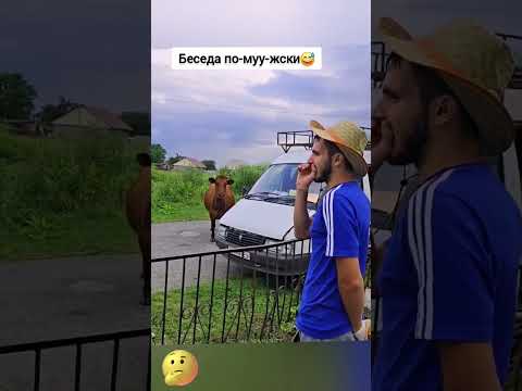 Базар на лугу🤣 #юмор#смешно #ржач#смех #смешноевидео#жиза#приколы#funny#корова#животные#стендап