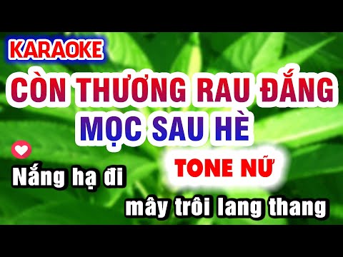 Karaoke CÒN THƯƠNG RAU ĐẮNG MỌC SAU HÈ  Tone Nữ Nhạc Sống KLA | Karaoke Organ 9669
