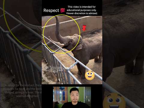 Respect animals #shorts #shortfeed #love