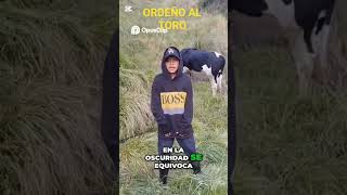 #AntesQueCanteElGallo#SeEquivocoDeOrdeño#OrdeñandoAlToro#CuandoNoAmaneceBien#CosasDelCampo