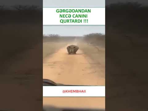 Gərgədandan CANINIZI belə qurtarın😱