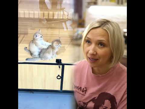 Ребята, можете ли вы поздравить меня с днем ​​рождения?