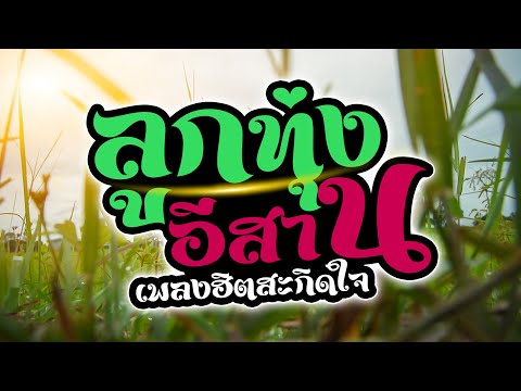 รวมเพลงลูกทุ่งอีสาน เพลงฮิตสะกิดใจ