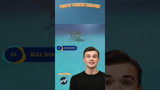 Sharks in Fresh Water? #BullShark #SharkFacts