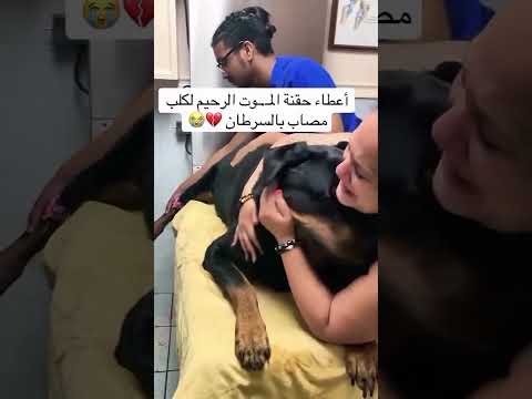 موقف صعب كلش 😭😭😭 #اكسبلور #لايك #ريالمدريدومانشسترسيتي #البنكرياس #ريالمدريد #متابعه