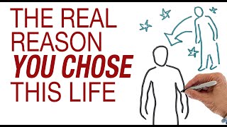 The Real Reason You Chose This Life. Escape the Cycle of Reincarnation. by Hans Wilhelm