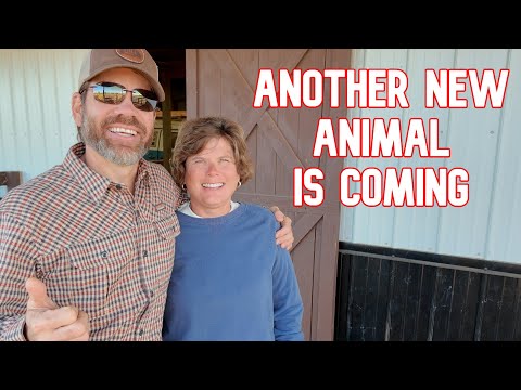 Unexpected Connection Is Bringing a New Animal To The Farm!