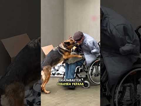 Собачка накормила хозяина🥺