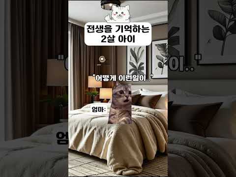 전생 기억 #고양이밈