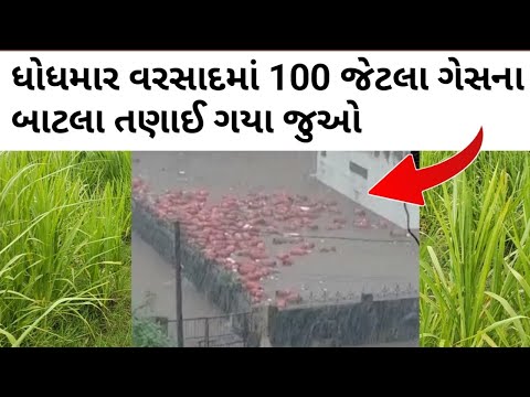 ભારે ધોધમાર વરસાદમાં આ શું થયું જુઓ