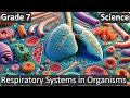 Respiration in Insects and Frogs