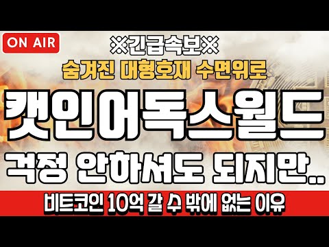 [캣인어독스월드 코인분석] 걱정 안하셔도 되지만..