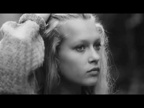 Седая ночь