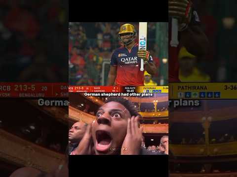 German shepherd on fire ๐