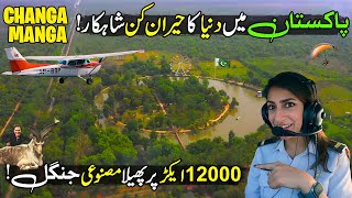 This is Real Pakistan😱| Asia's Biggest Hand-Planted Forest Changa Manga | Live Animals In Jungle