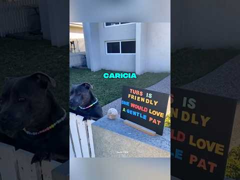 Un cartel cambió la vida de un perro ❤️🐶