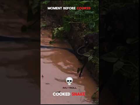 snake cooked...